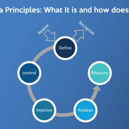 Six Sigma: Exploring It's Importance and Benefits 3 Six Sigma Principles