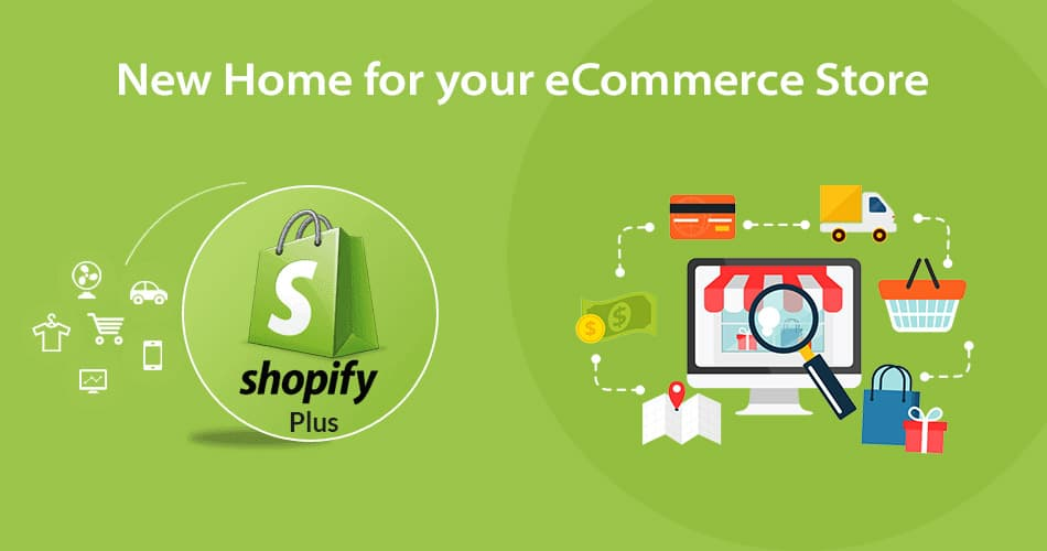 Unleashing Your E-commerce
