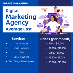 A colorful infographic showcasing digital marketing services and their average costs per month. It includes illustrations of people working on social media, email marketing, SEO, content writing, and web design/development.